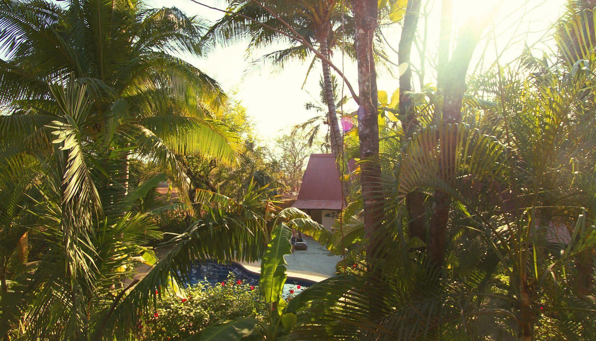 The Sunset Shack Hotel Nosara Kültér fotó